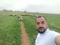 Member's photo