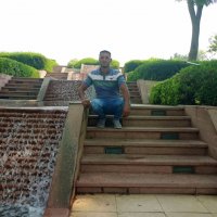 صورة العضو